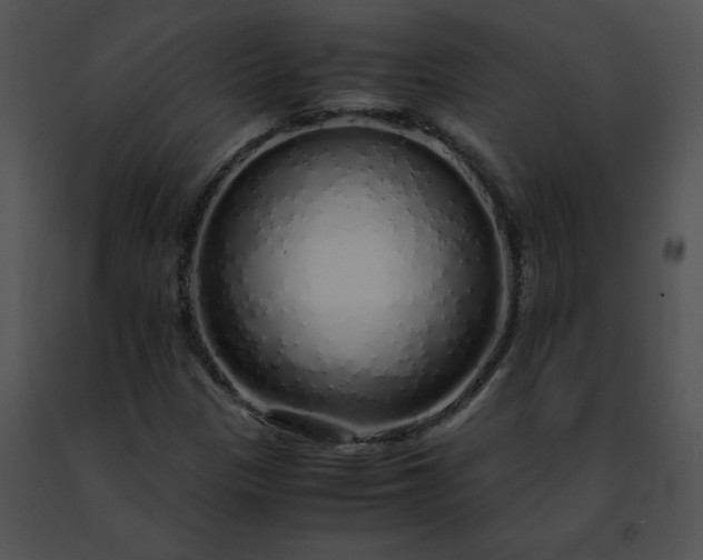 X0000091491305200708301927