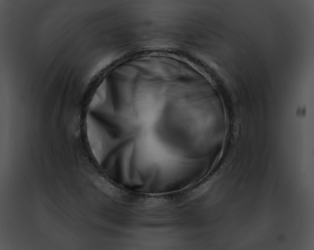 X0000091491306200708301927