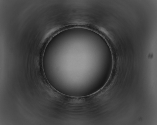 X0000091491307200708301927