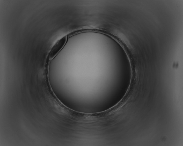 X0000091491308200708301927