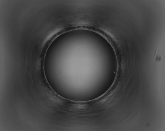 X0000091491309200708301927