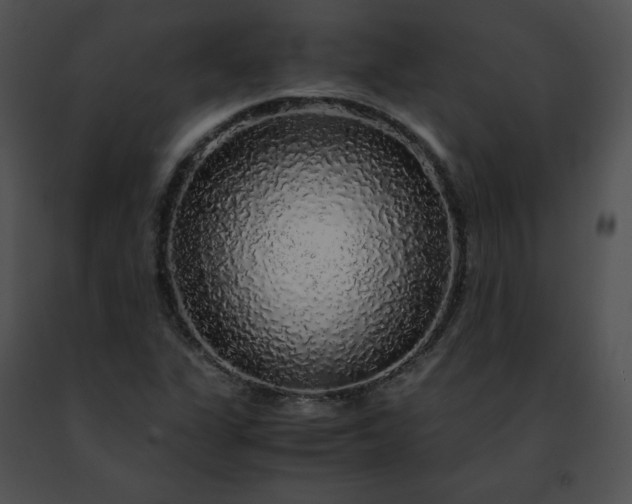 X0000091491311200708301927