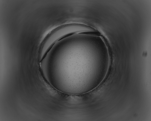 X0000091491312200708301927