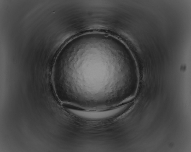 X0000091491313200708301927