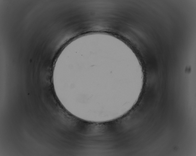 X0000091491314200708301927