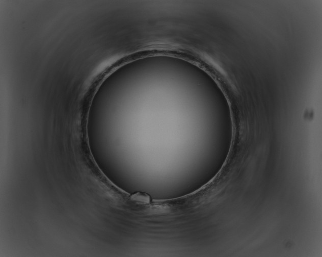 X0000091491315200708301927