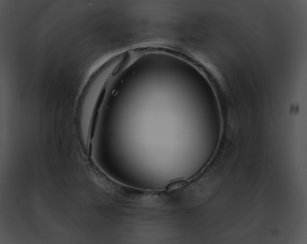 X0000091491316200708301927