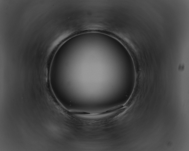 X0000091491317200708301927