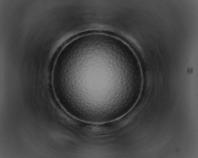 X0000091491318200708301927