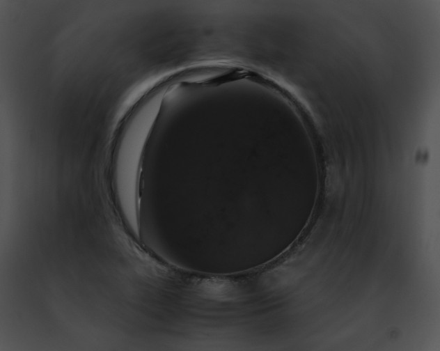 X0000091491319200708301927