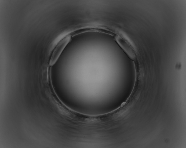 X0000091491320200708301927