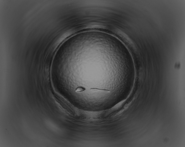 X0000091491321200708301927