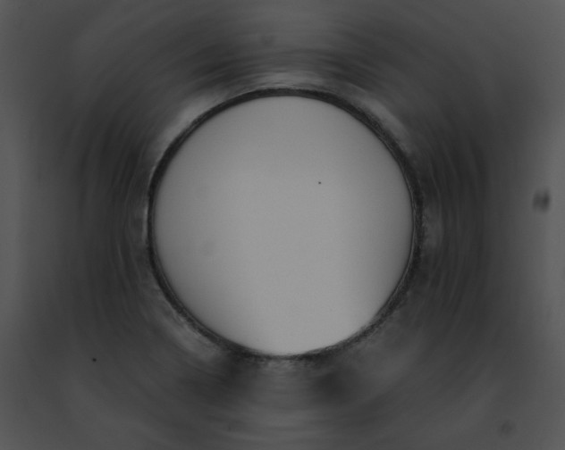 X0000091491322200708301927