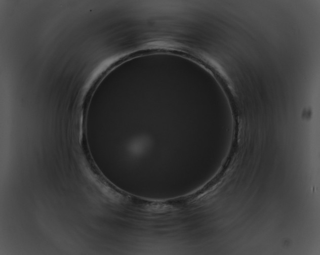 X0000091491323200708301927