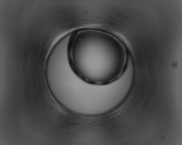 X0000091491324200708301927