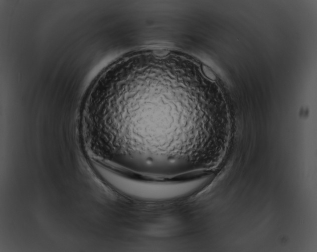 X0000091491325200708301927