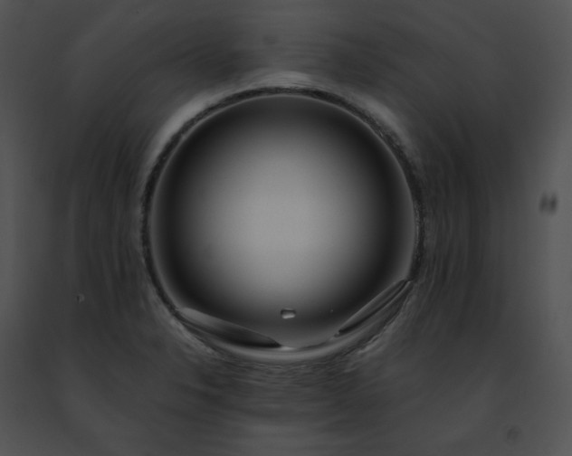 X0000091491326200708301927