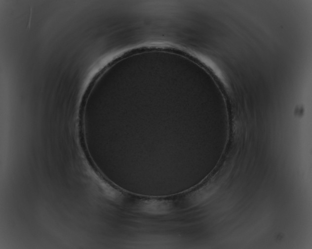 X0000091491327200708301928