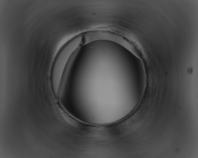 X0000091491328200708301928