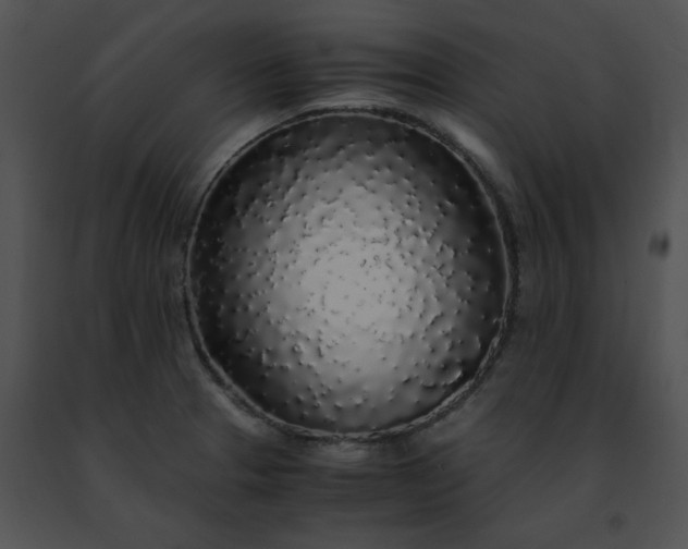 X0000091491329200708301928