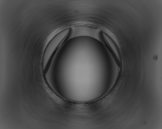 X0000091491330200708301928