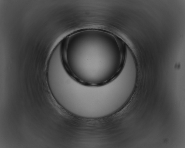 X0000091491332200708301928