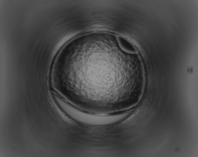 X0000091491333200708301928