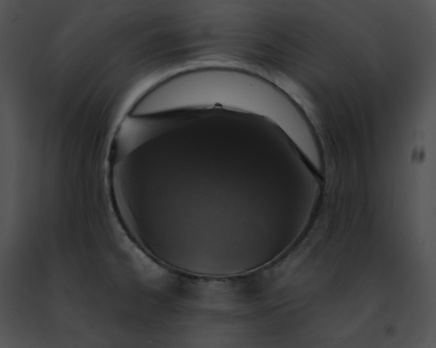 X0000091491334200708301928