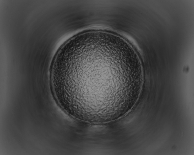 X0000091491335200708301928