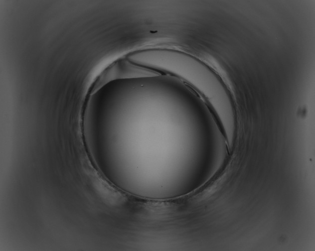 X0000091491336200708301928