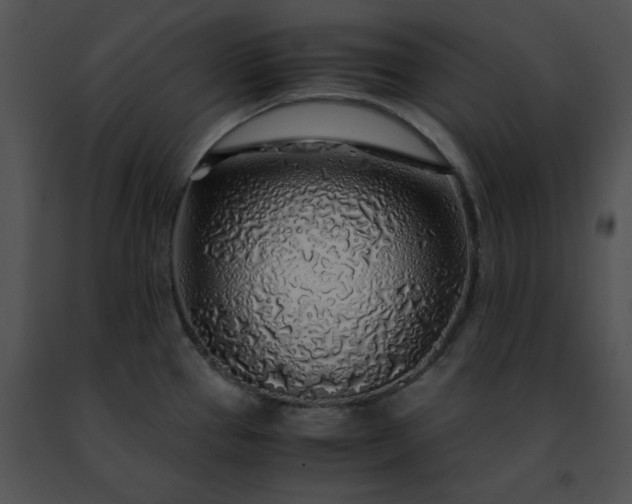 X0000091491337200708301928