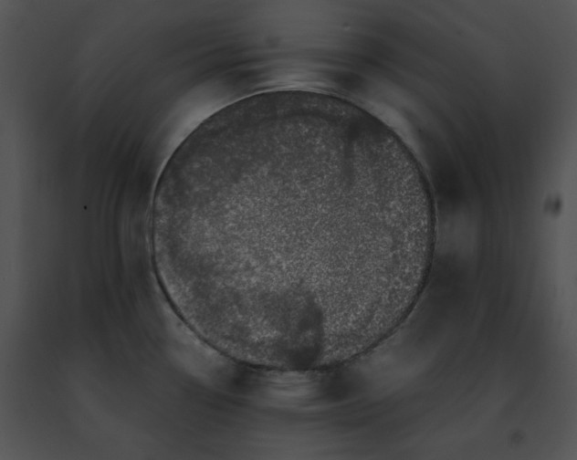 X0000091491338200708301928