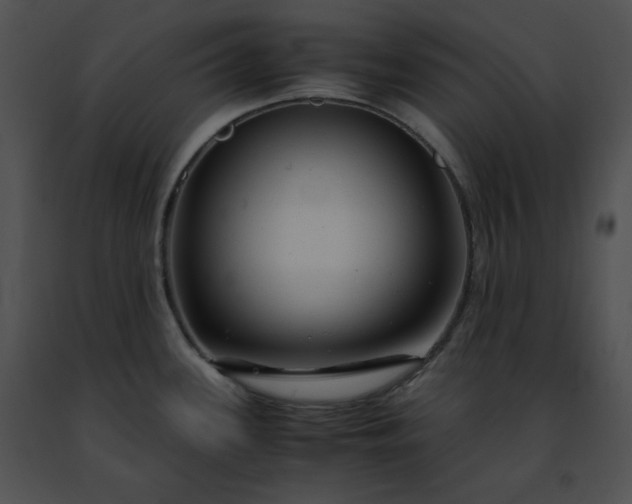 X0000091491339200708301928