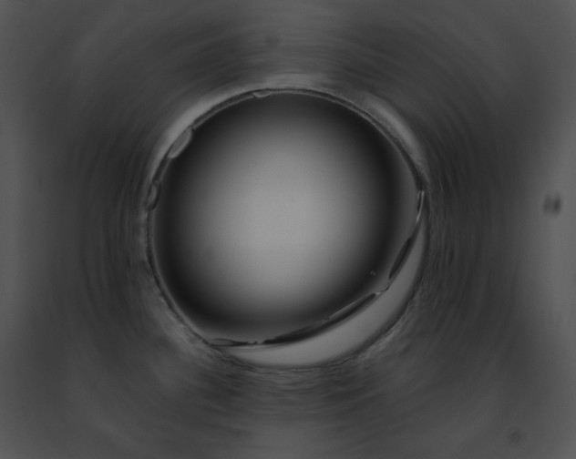 X0000091491340200708301928