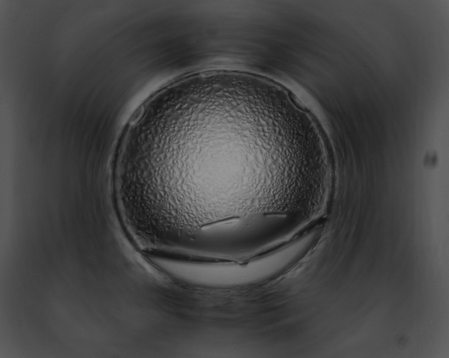 X0000091491341200708301928