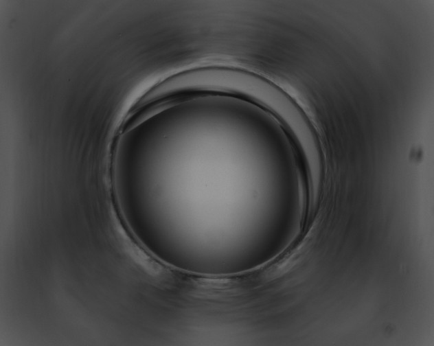 X0000091491342200708301928