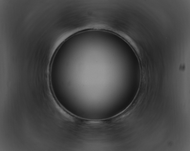 X0000091491343200708301928