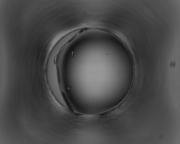 X0000091491344200708301928