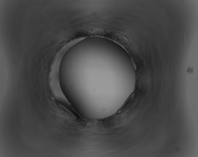 X0000091491345200708301927