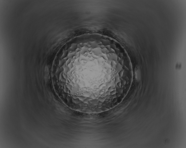 X0000091491347200708301927