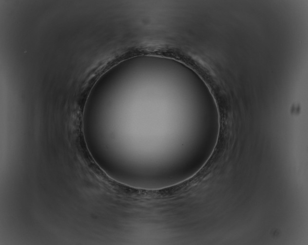 X0000091491349200708301927