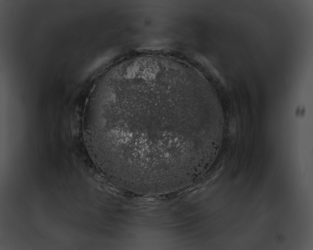 X0000091491350200708301927