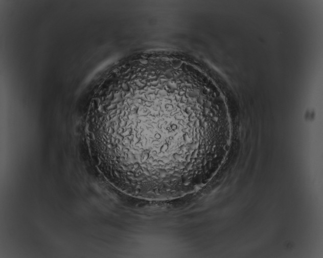 X0000091491351200708301927