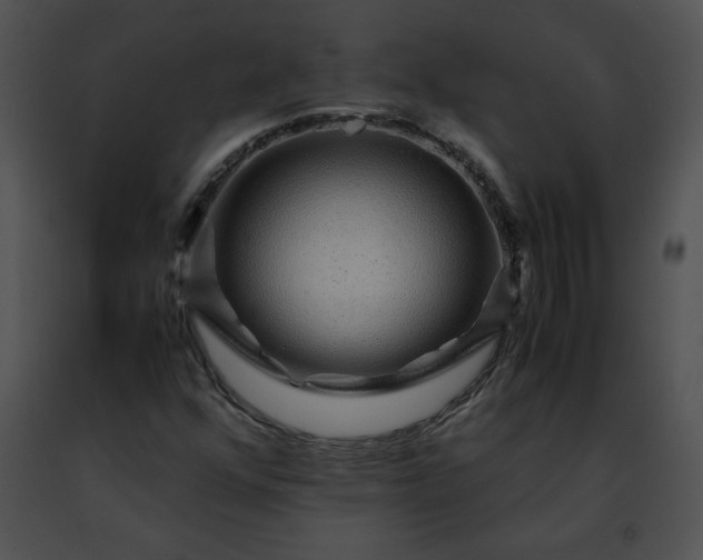 X0000091491352200708301927