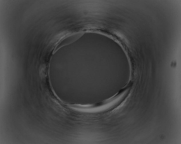 X0000091491353200708301927