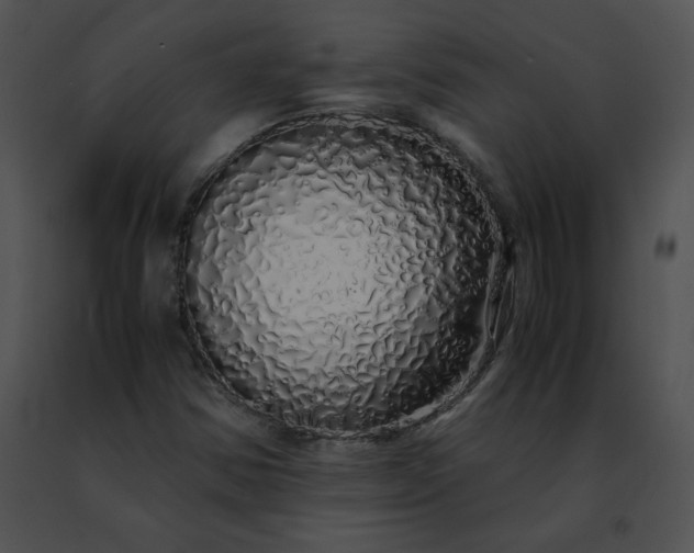 X0000091491354200708301927