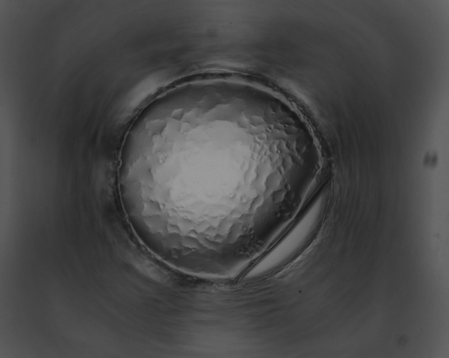 X0000091491355200708301927