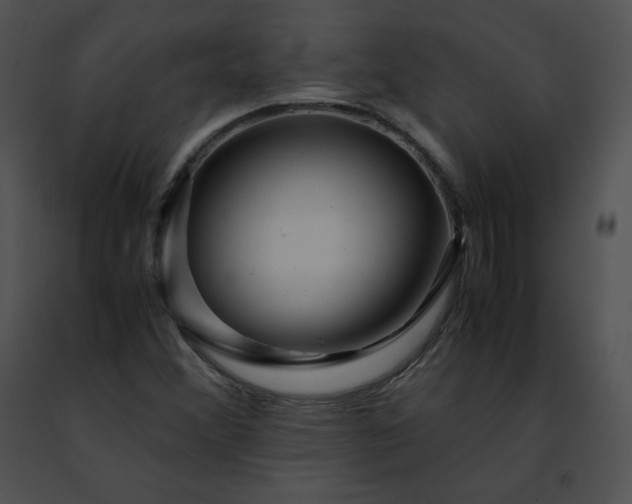 X0000091491356200708301927