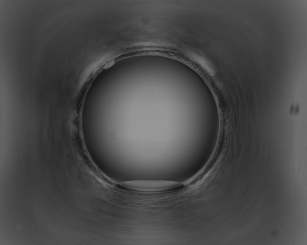 X0000091491357200708301927