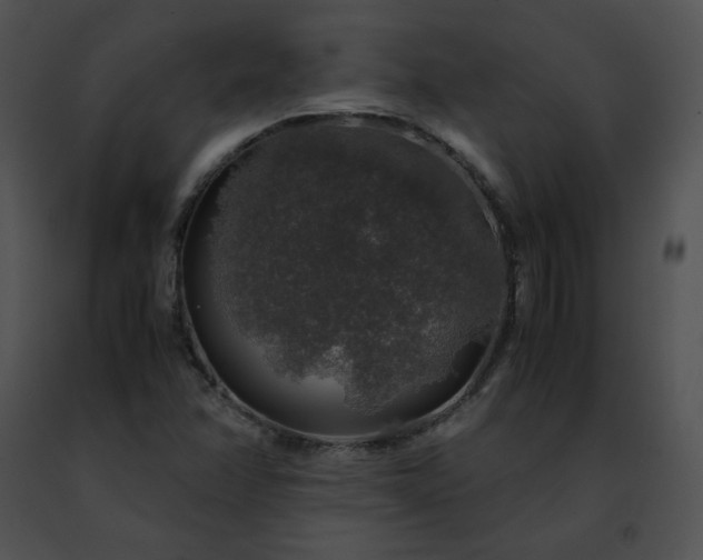 X0000091491358200708301927